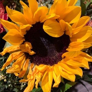 Meet your Posher, Amee